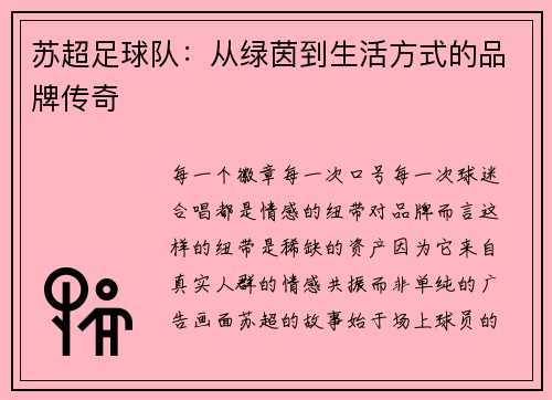 苏超足球队：从绿茵到生活方式的品牌传奇